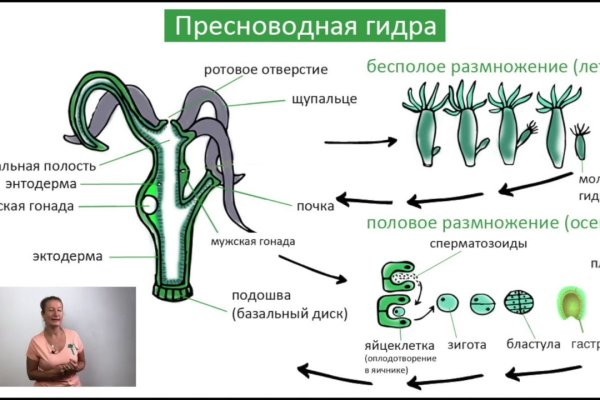 Кракен маркетплейс скачать