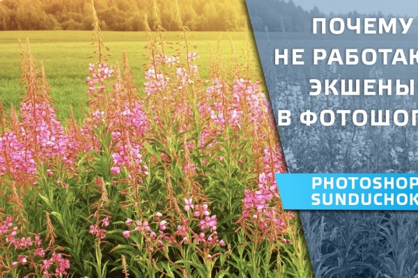 Кракен шеринг