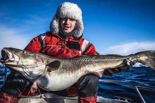 Сайт kraken в tor