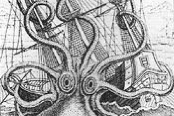 Kraken market зеркала