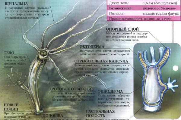 Kraken 18at зеркало