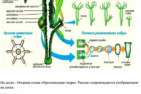Kraken ссылка зеркало официальный