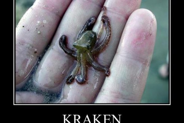 Kraken ссылка tor официальный сайт